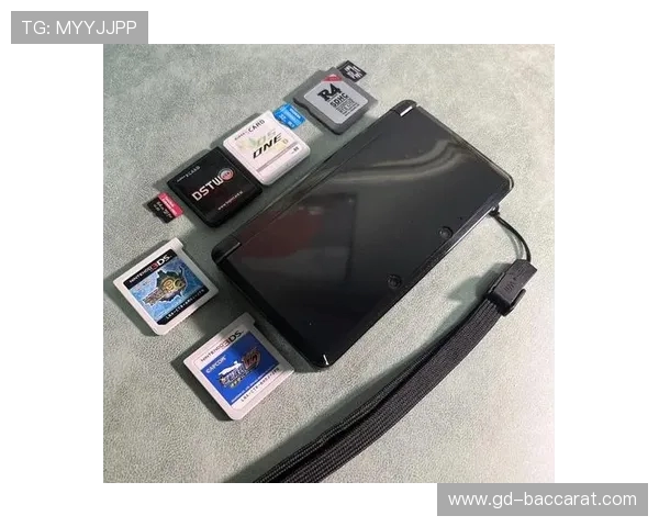 如何使用烧录卡继续保存和恢复游戏进度的方法解析